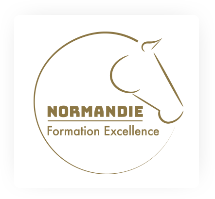 Logo Normandie Formation Excellence