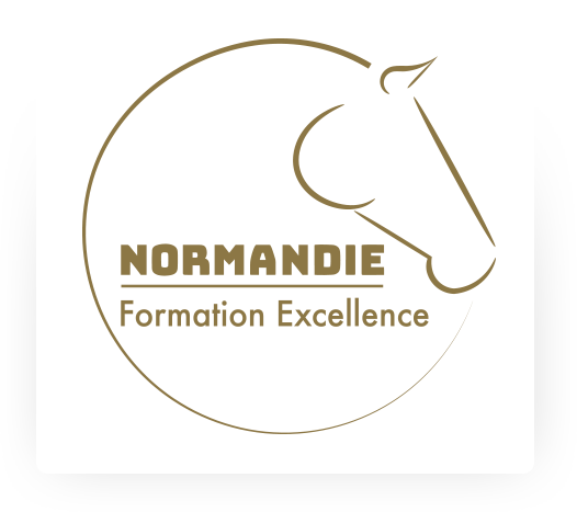Logo Normandie Formation Excellence