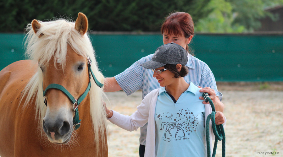 Brevet Fédéral d’Encadrement Équi-Handi