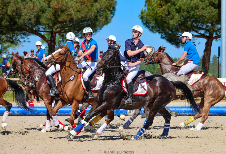 Enquête sur la pratique du Horse-Ball