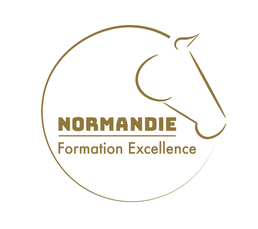 Logo Normandie Formation Excellence