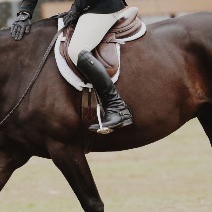 Remise des prix compétition Hunter