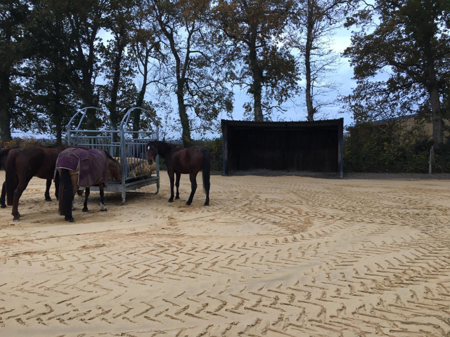 ©Centre Equestre de Sully - Aires stabilisées