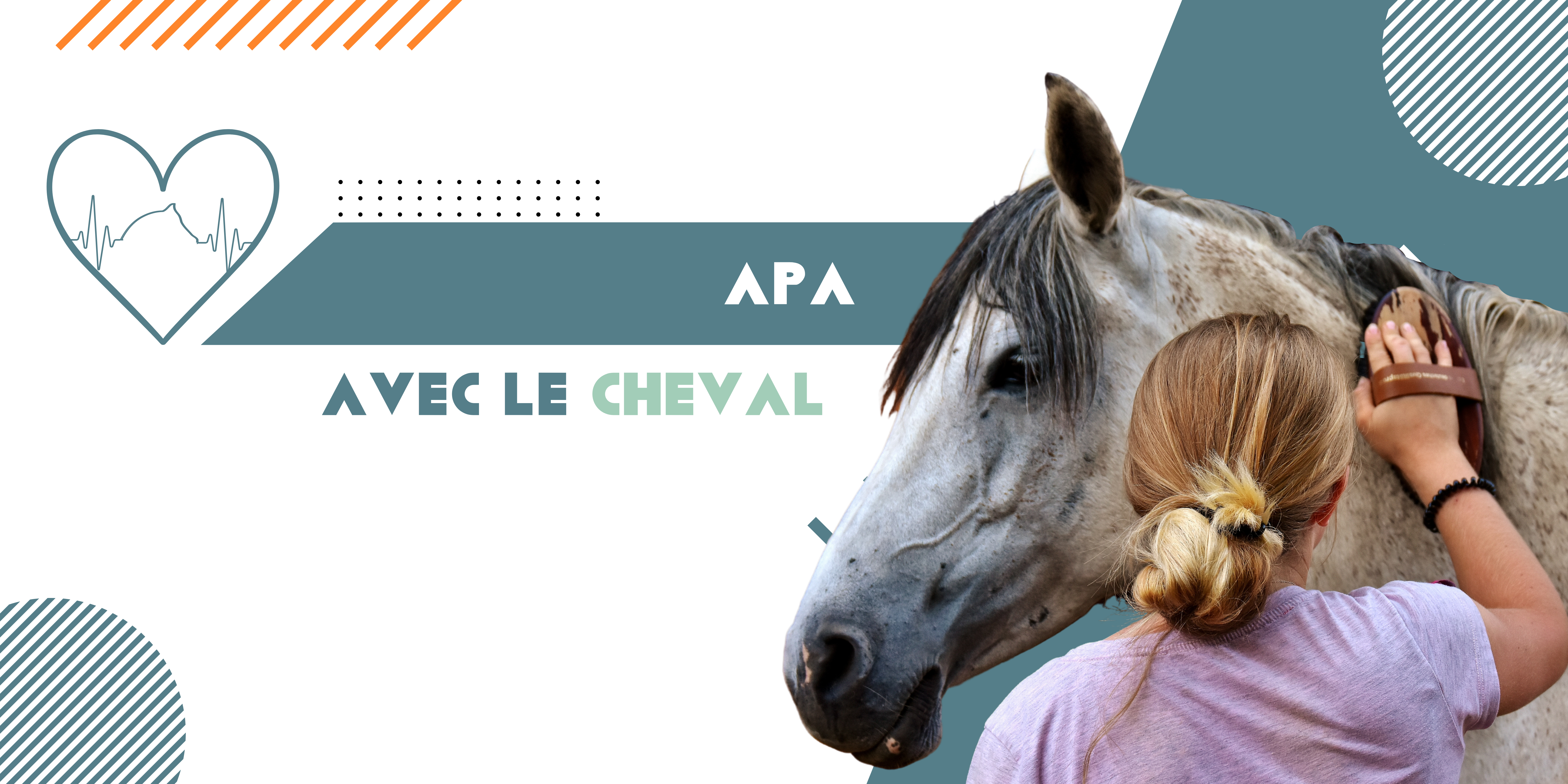 APA avec le cheval