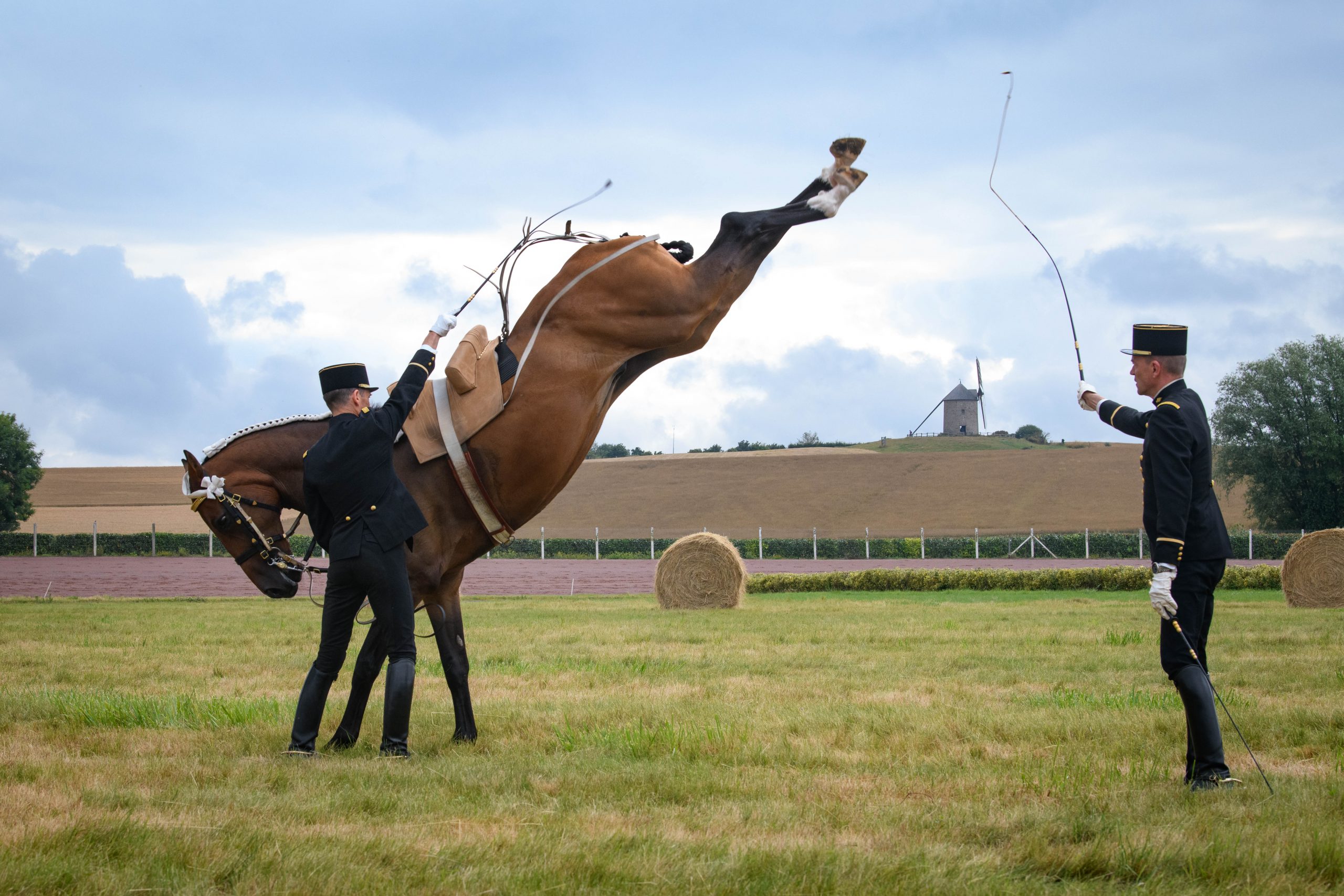 Partenariat Cadre Noir x COREN