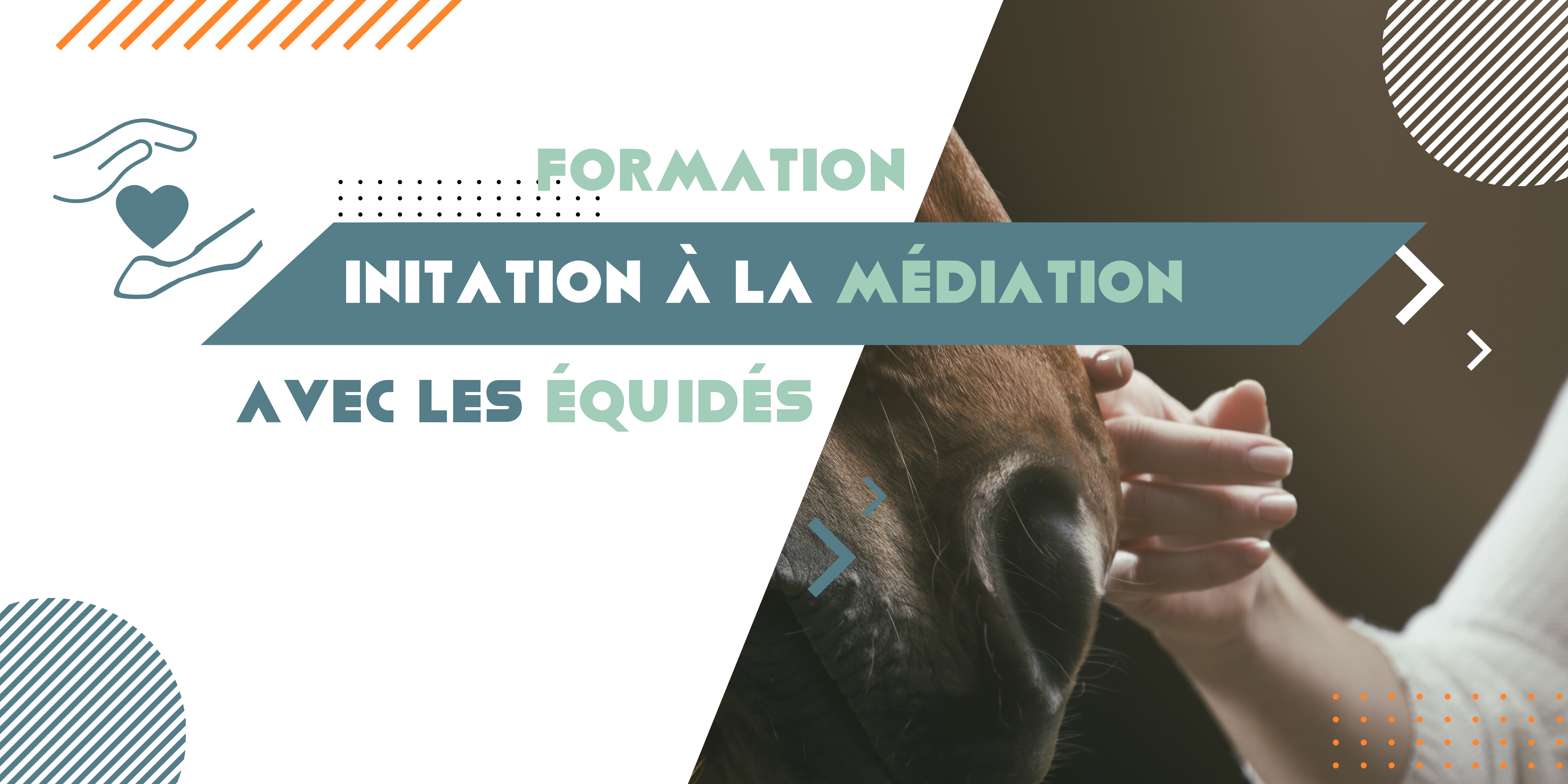 Initiation à la Médiation Avec les Equidés (MAE)