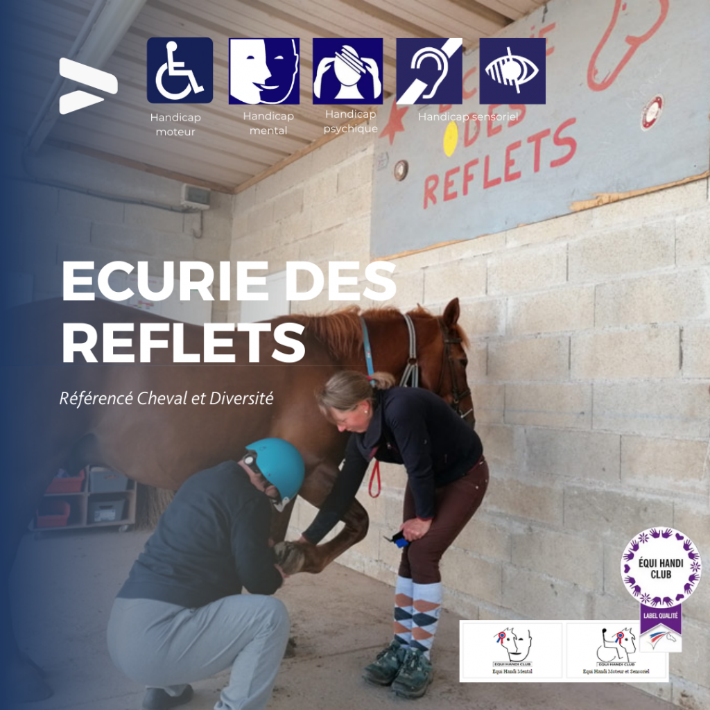 ECURIE DES REFLETS1