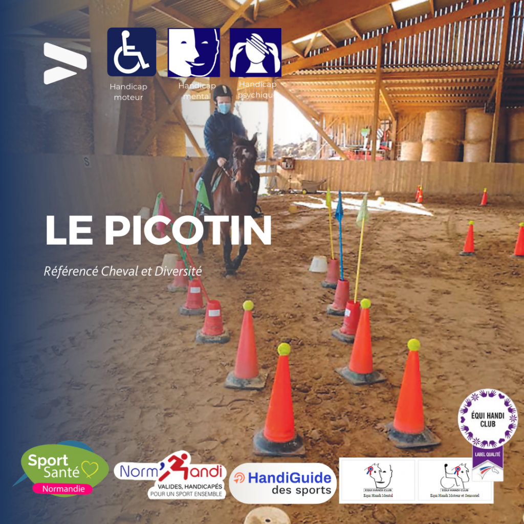 LE PICOTIN1