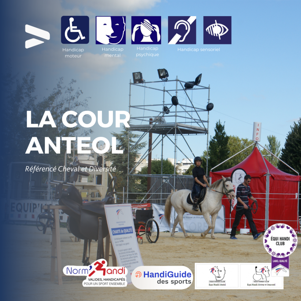 La cour anteol 1