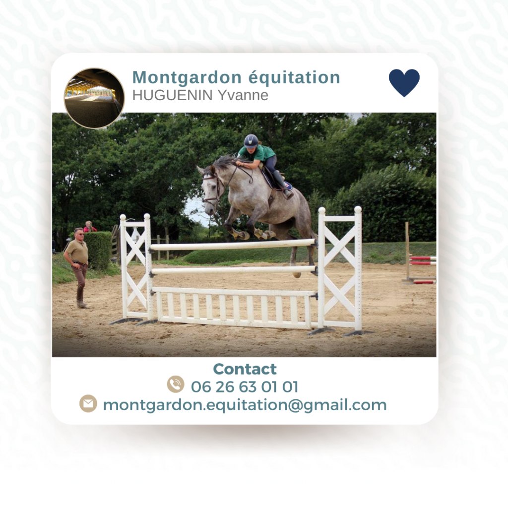 MONTGARDON EQUITATION 3