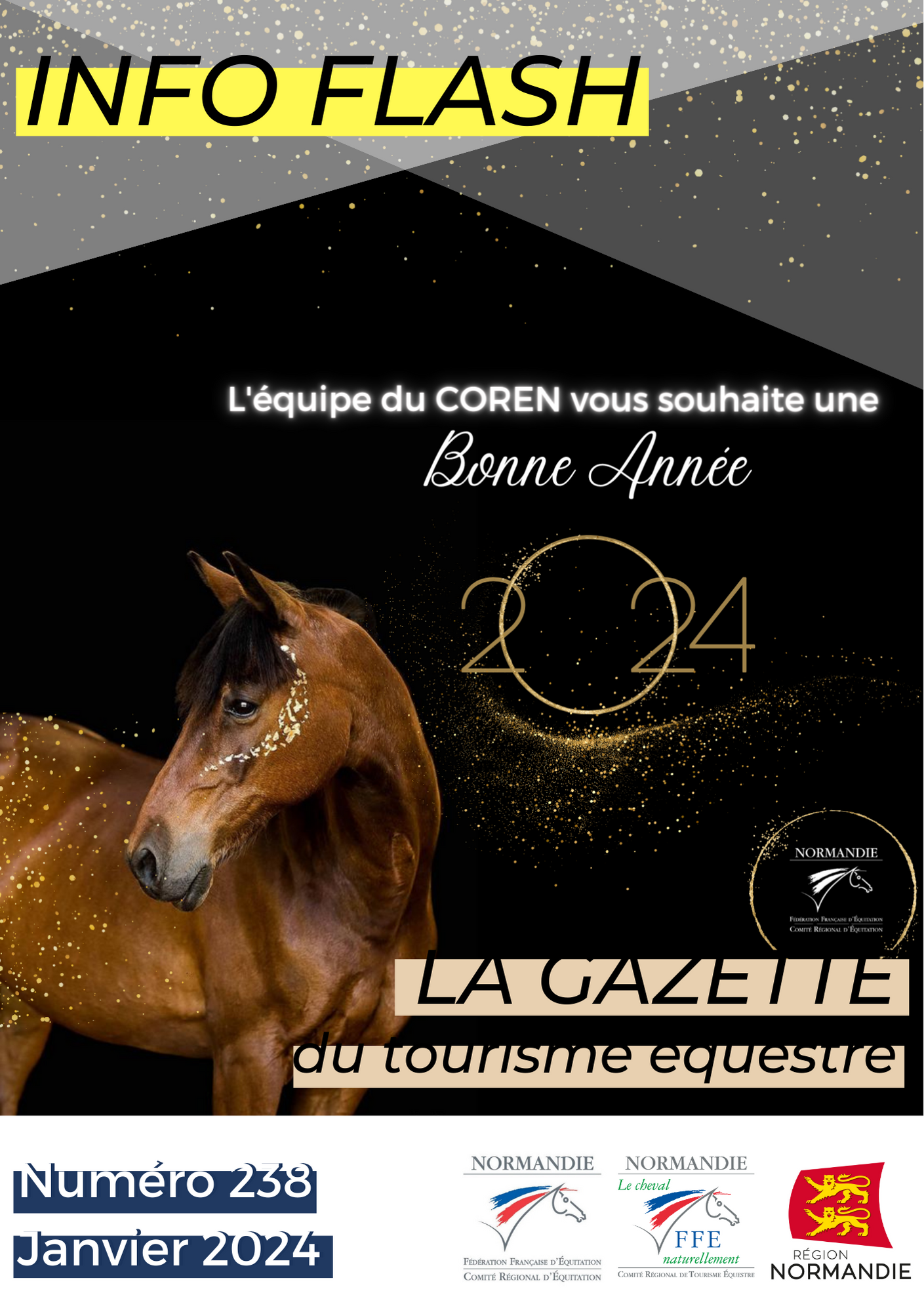 Info Flash n°238 – Janvier 2024