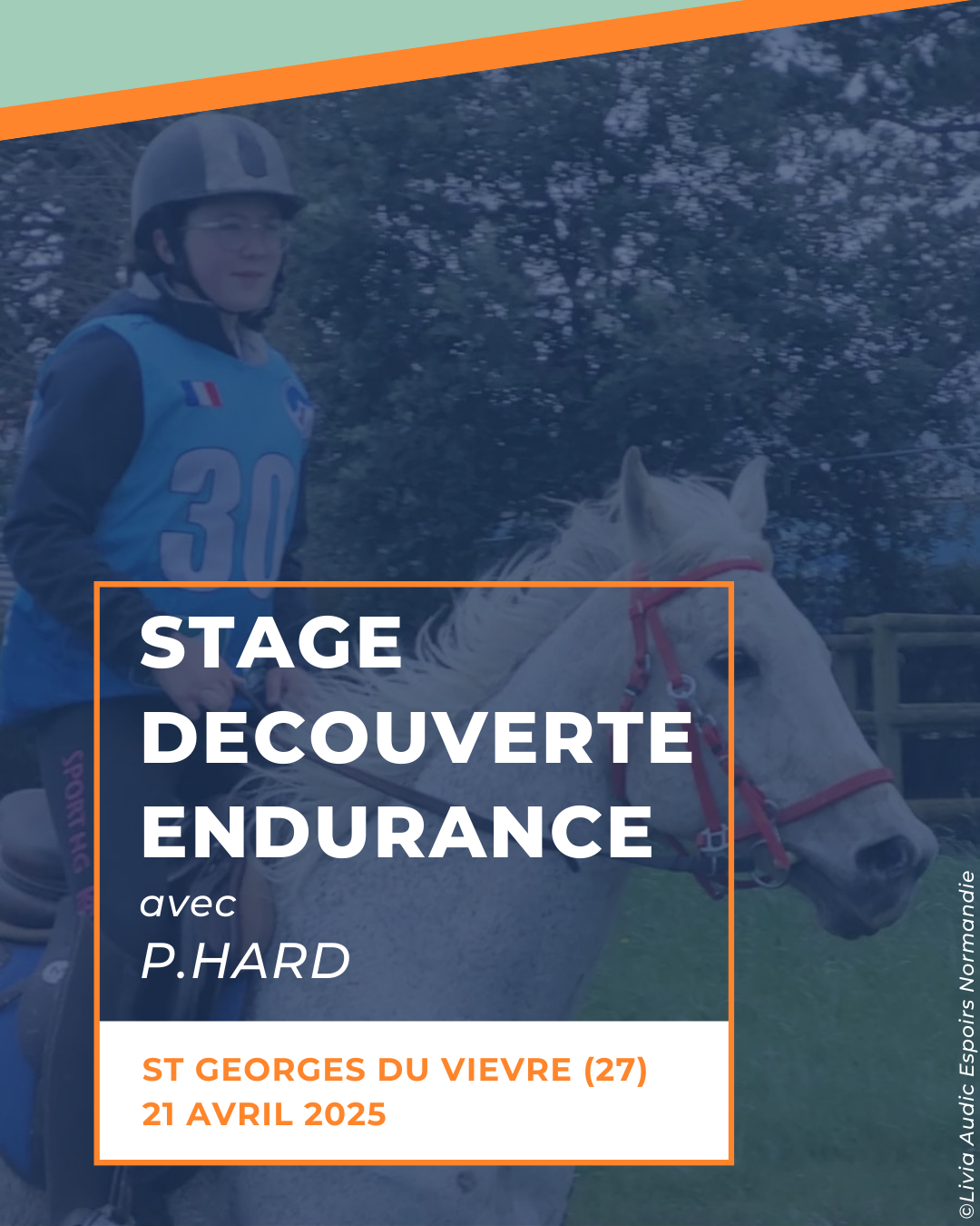 Stage cavalier découverte de l’endurance