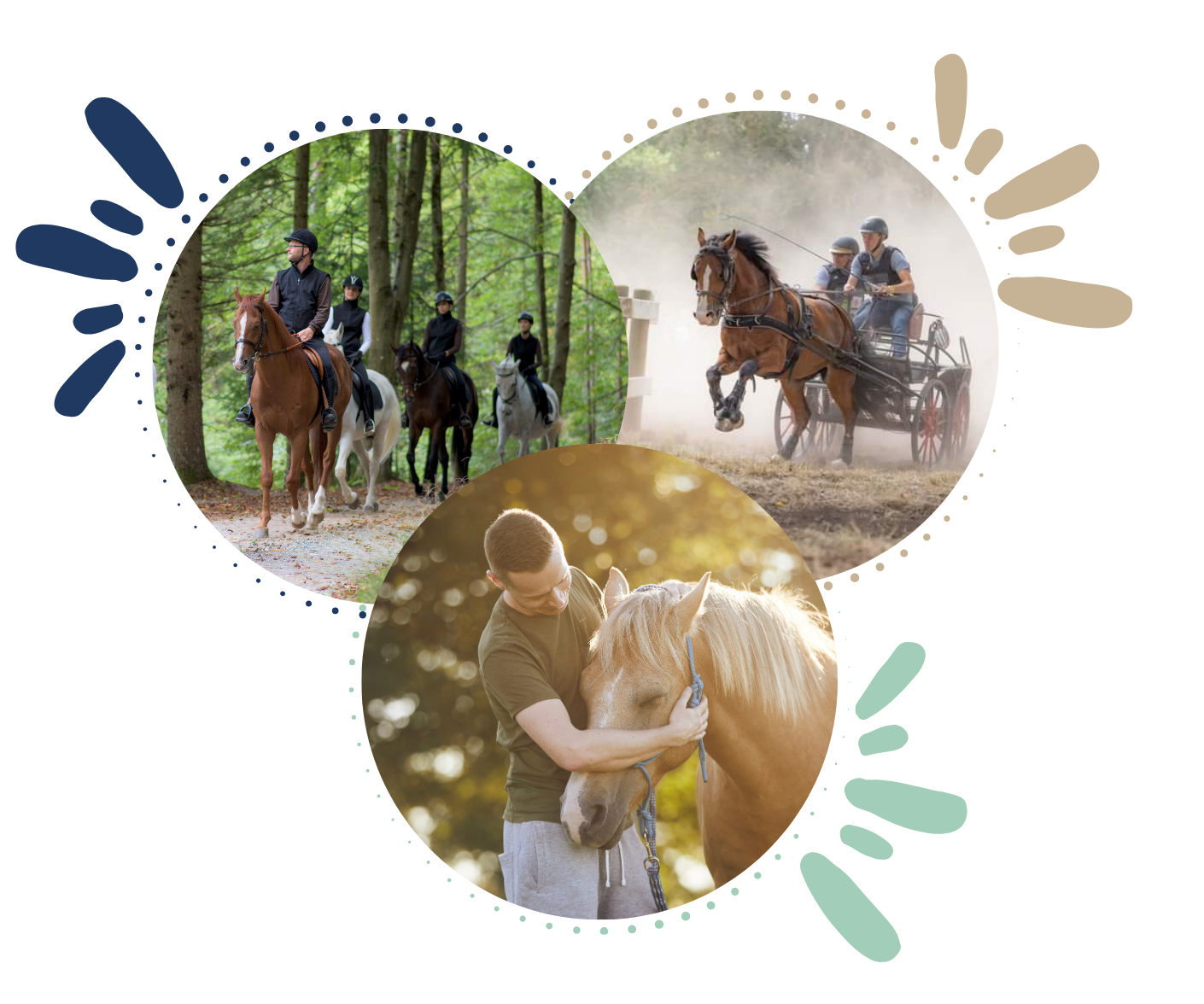 Formations courtes - Comité Régional d'Équitation de Normandie