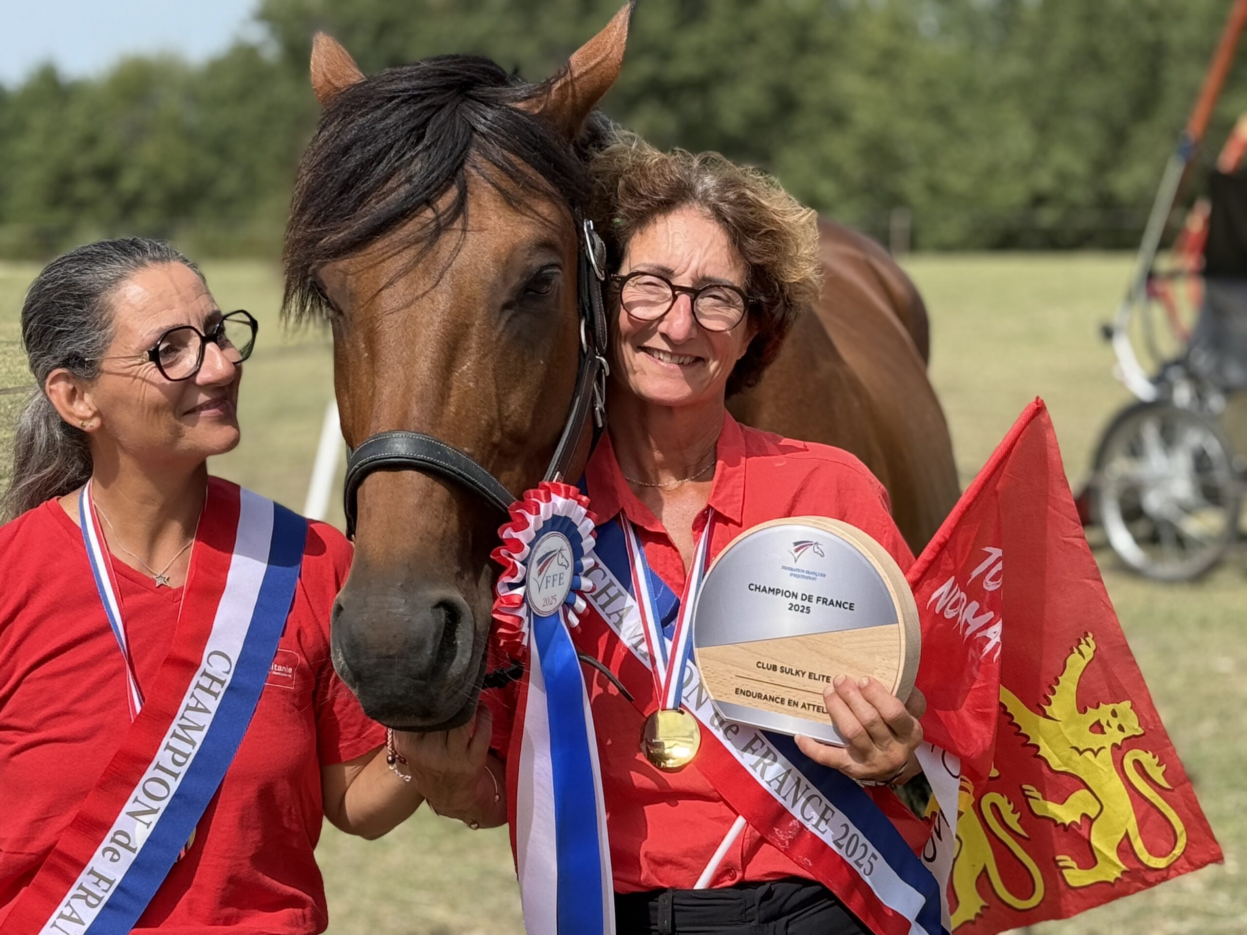 Championnat de France Club – Endurance en Attelage