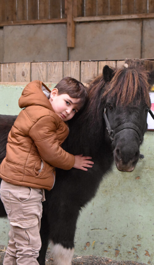 SRIAS 76 Equitation adaptée (2)