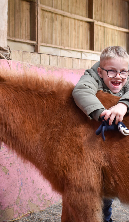 SRIAS 76 Equitation adaptée (5)