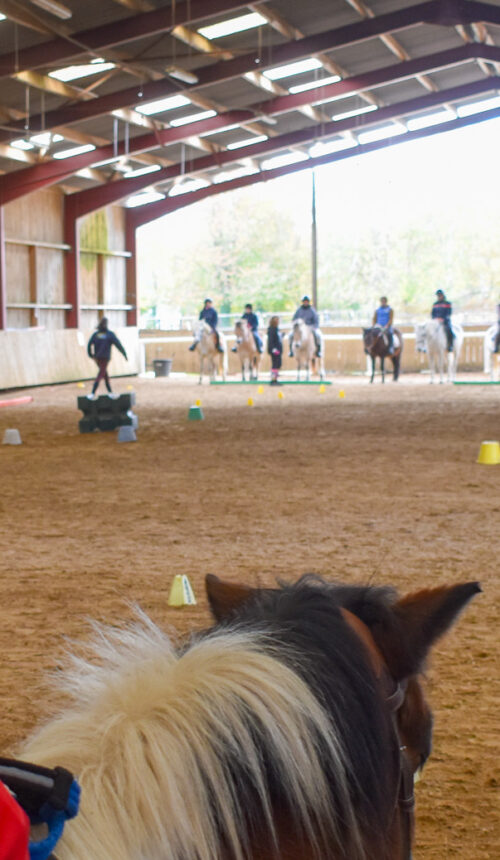 SRIAS 76 Equitation adaptée (7)