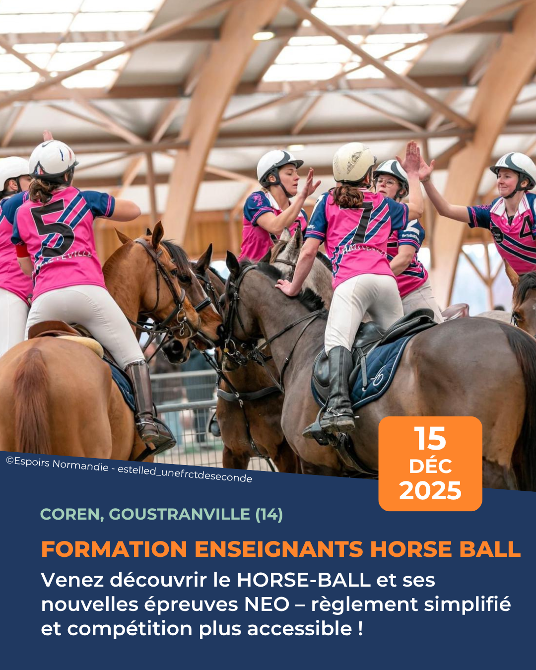 Formation enseignants Horse Ball