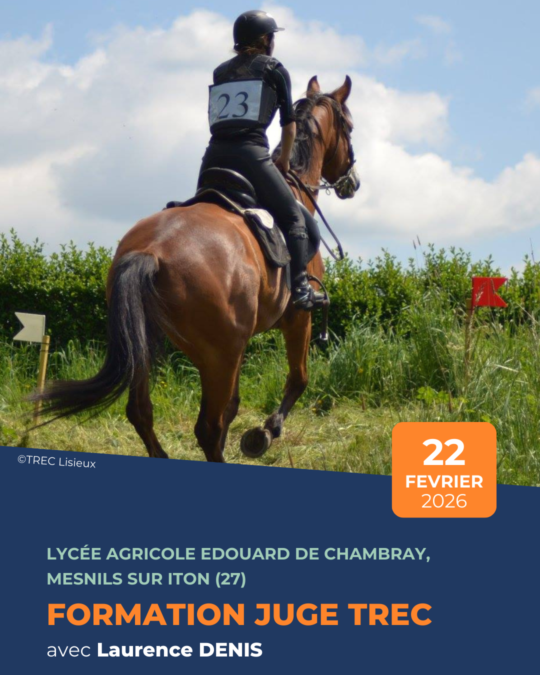 Formation juge TREC avec Laurence Denis 2026