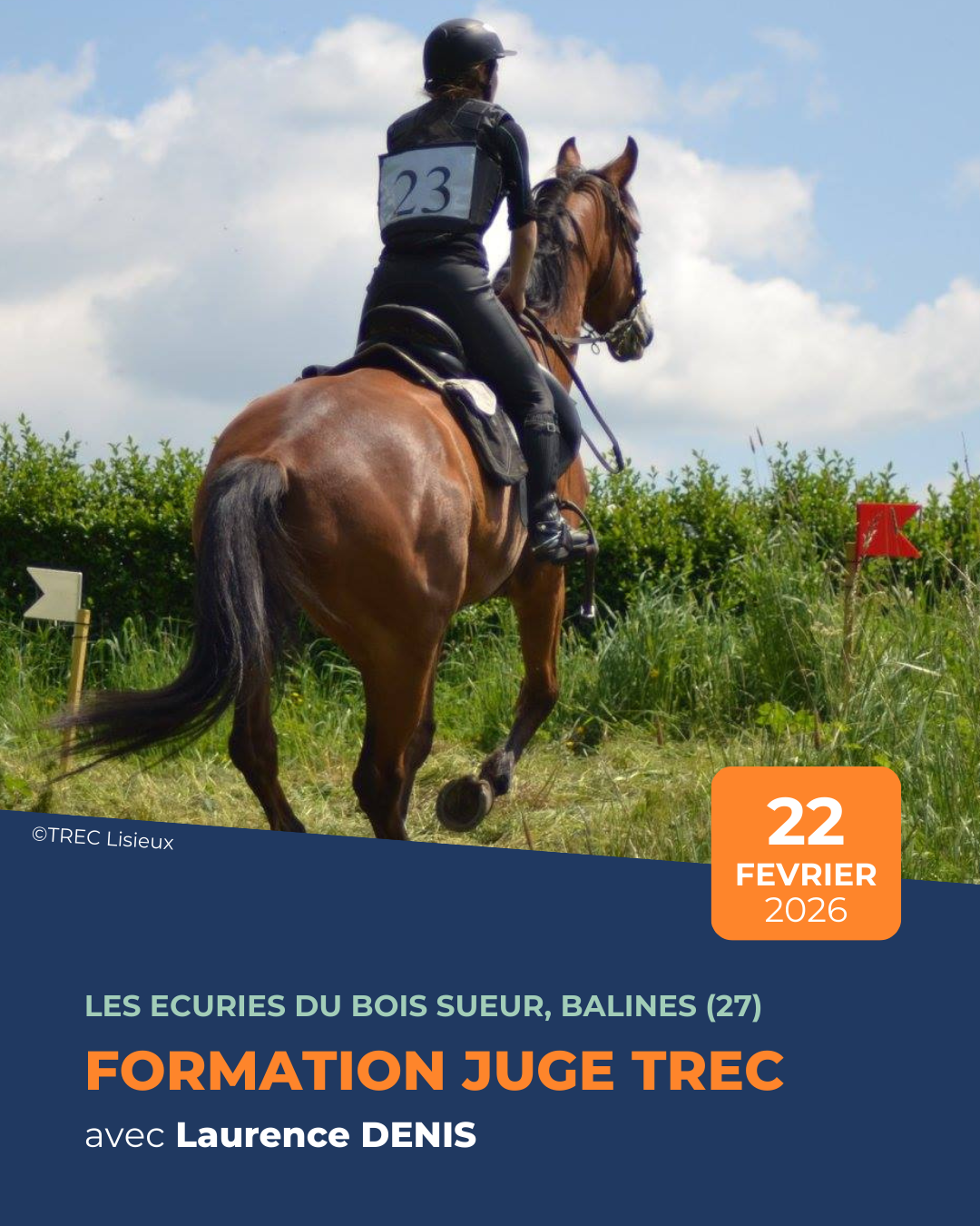 Formation juge TREC avec Laurence Denis 2026