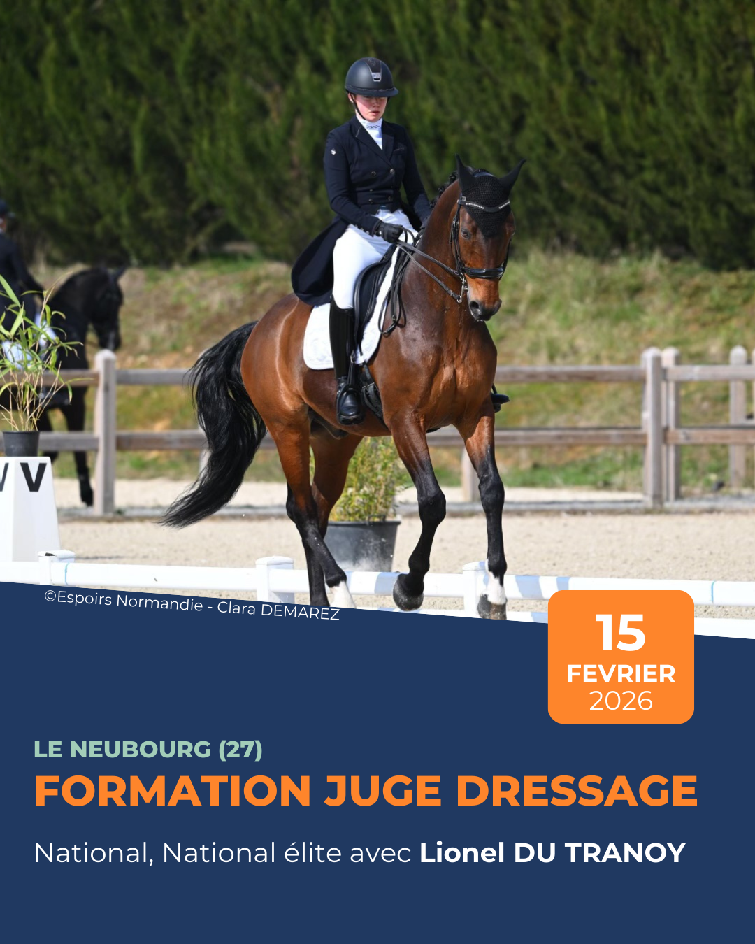 Formation juges national et candidat national Dressage avec Lionel du Tranoy 2026
