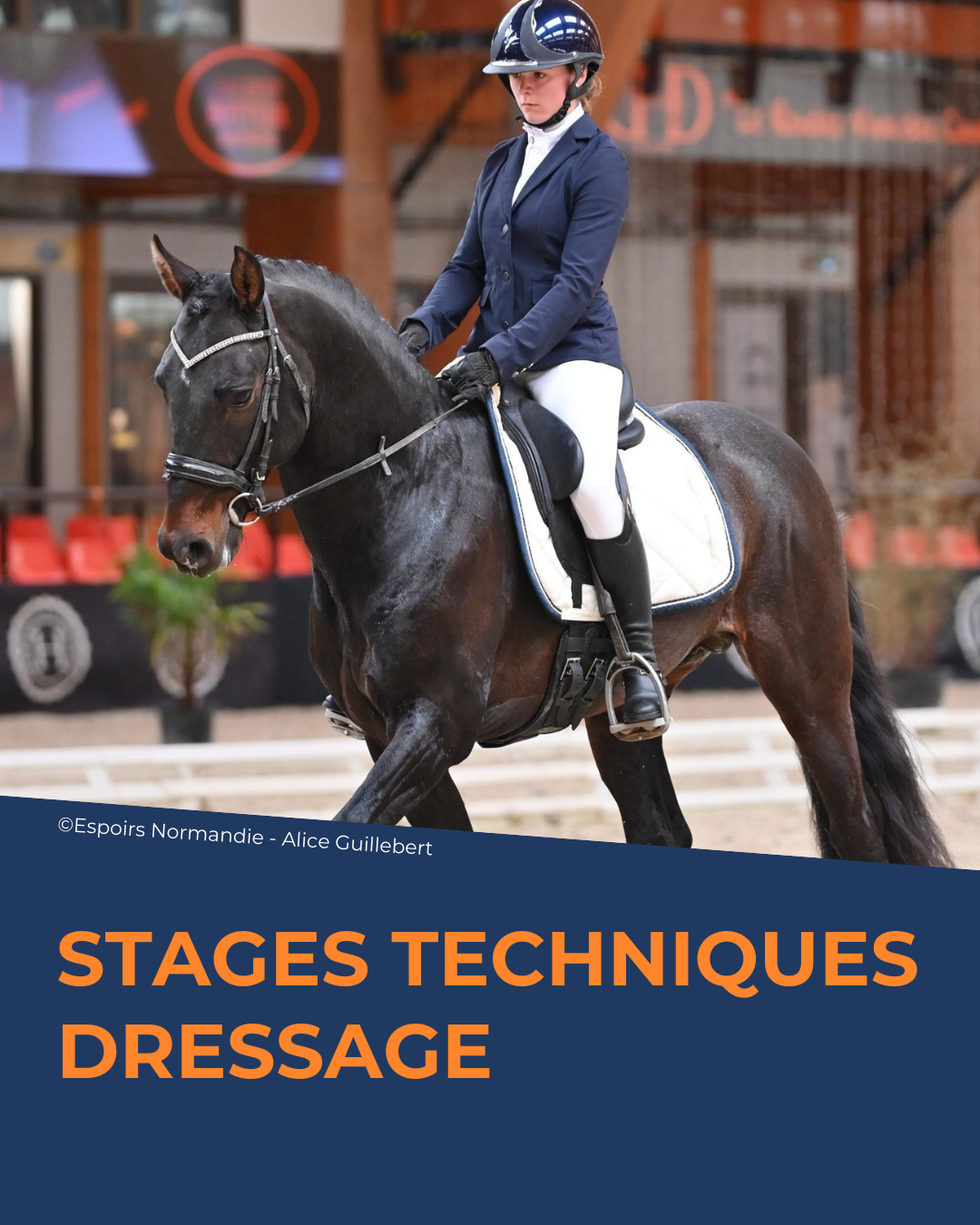 Journée technique dressage avec Lionel Dutranoy