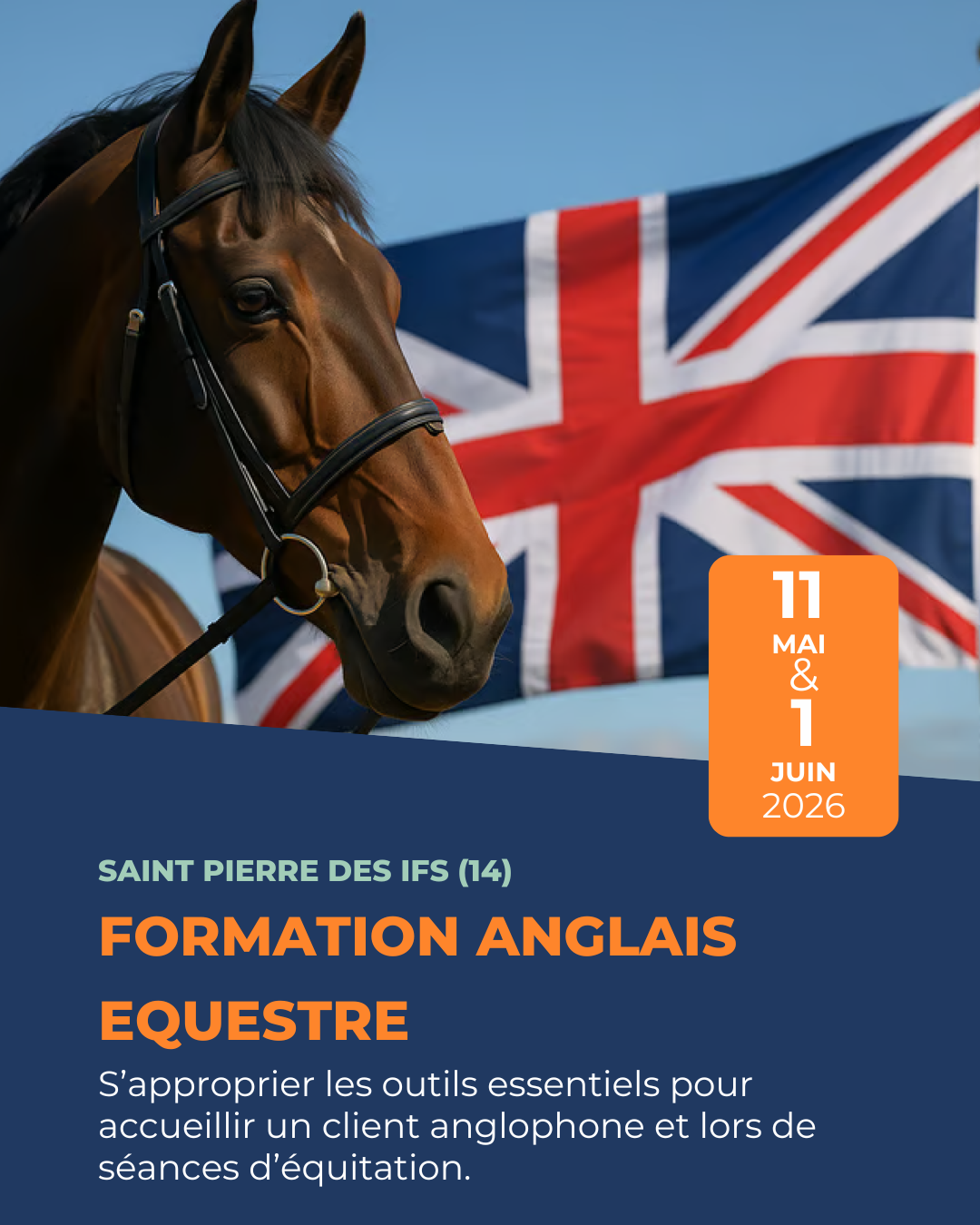 Formation anglais équestre – Bases professionnelles en centre équestre