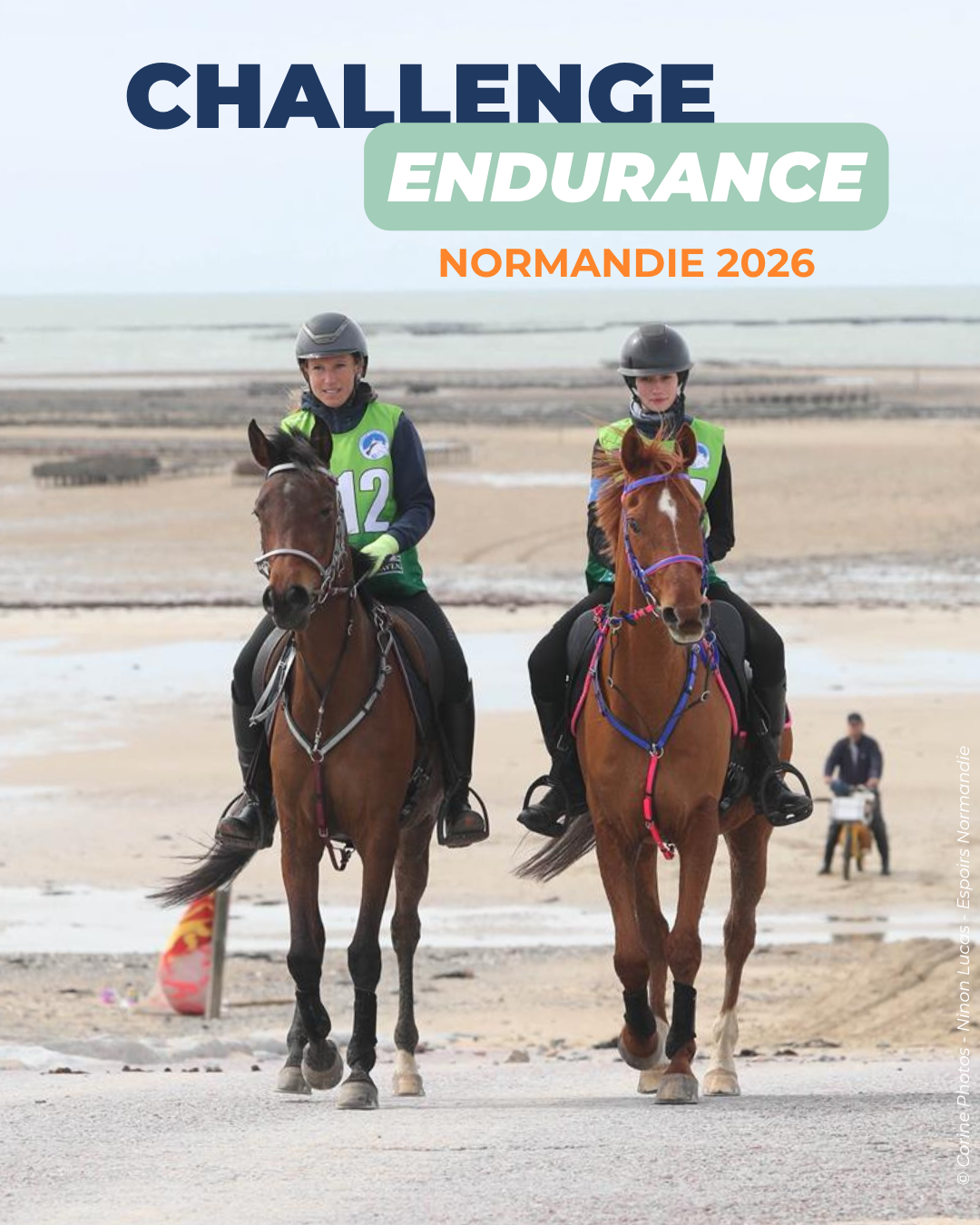 Classement challenge endurance 2026