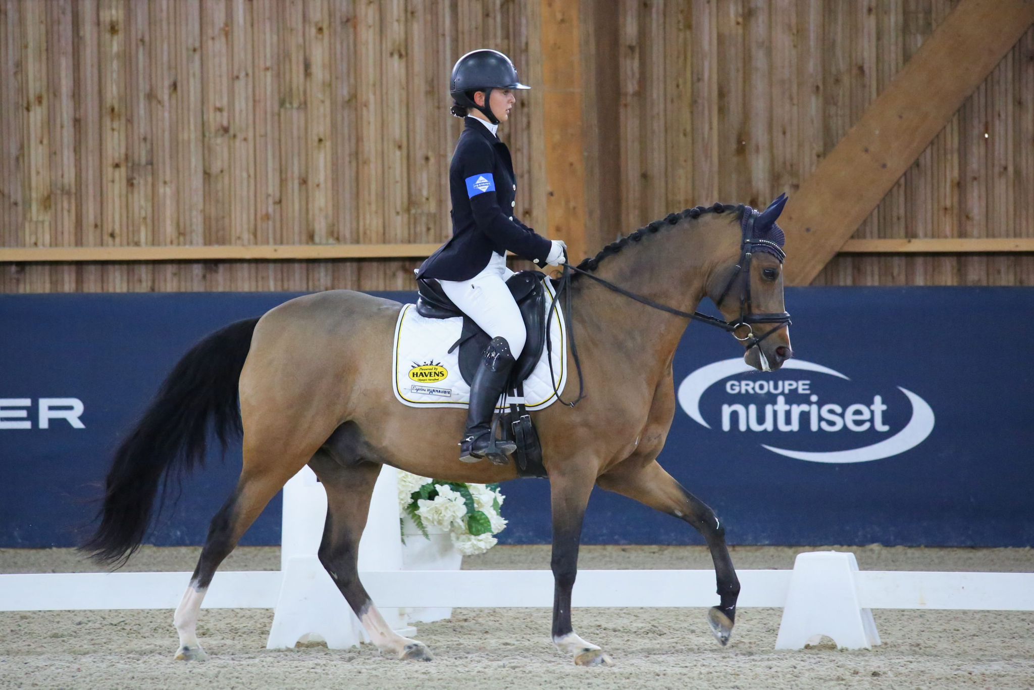 Résultats Championnats de Normandie 2026 – Dressage Club & Poney