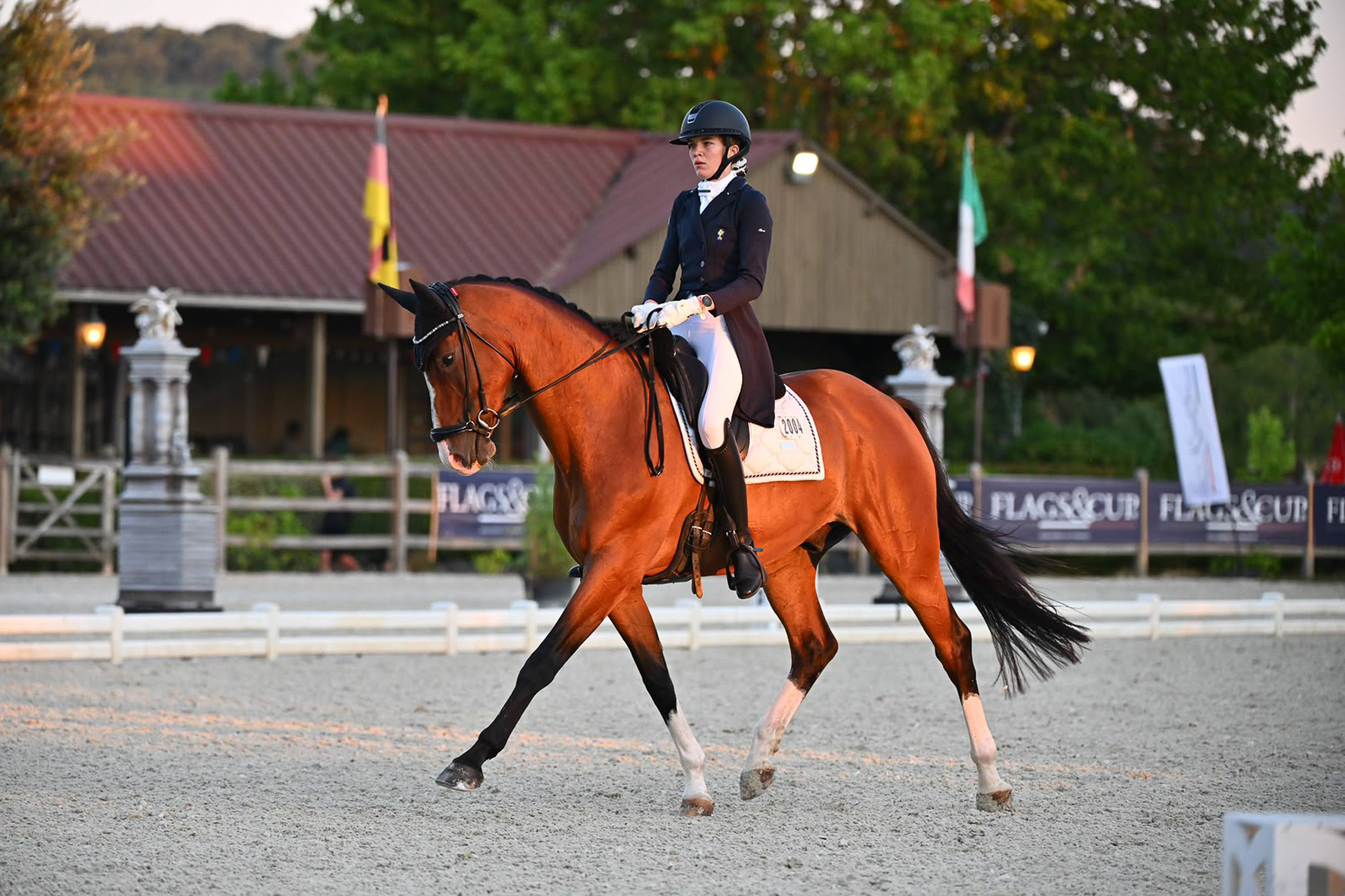 Critérium Amateur 2026 – CSO, CCE, Dressage & Hunter