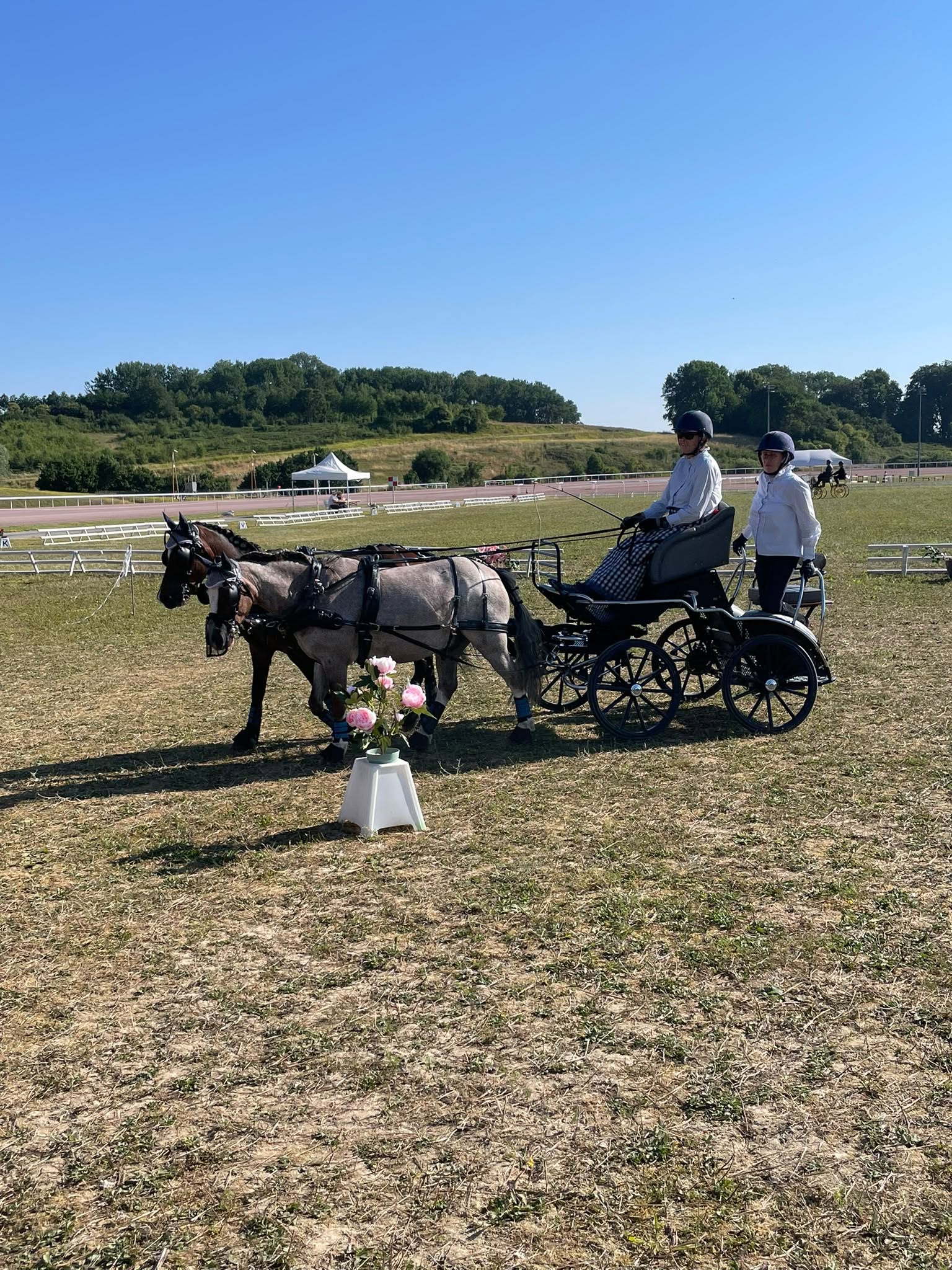 Résultats Championnats de Normandie 2026 – Attelage Club & Amateur