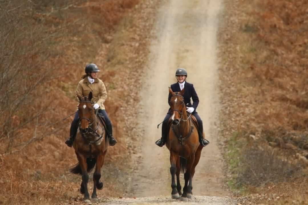 Championnat du Cheval de chasse 2026