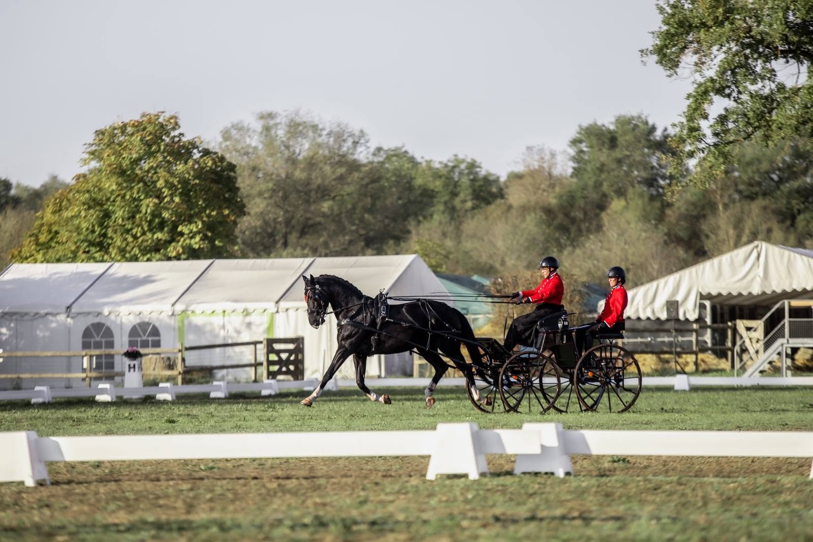 Championnat de France 2026 – Master & Trait Attelage