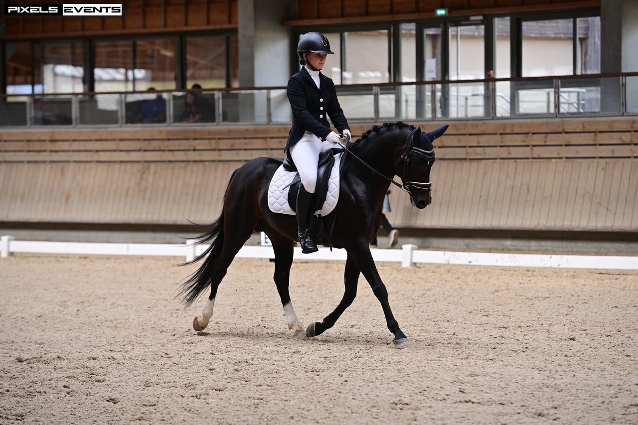 Résultats Championnats de Normandie 2026 – Dressage Pro & Amateur