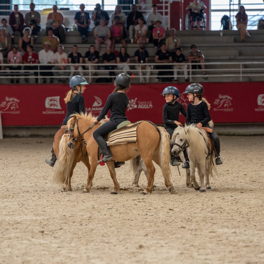Défis cheval et diversité 2026 (33)
