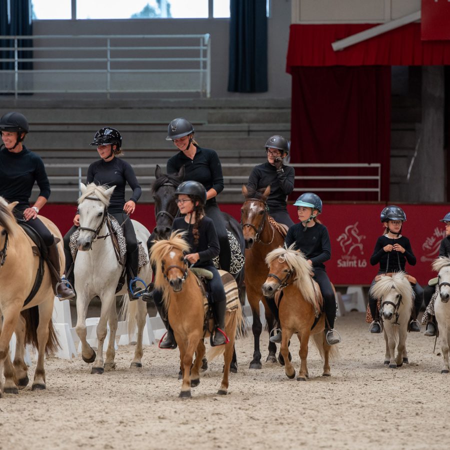 Défis cheval et diversité 2026 (34)